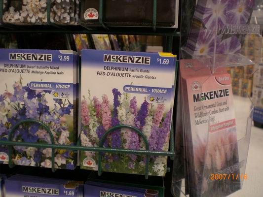 Resize of CIMG0529.JPG